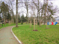 Skleněnka / Foto: MMHK