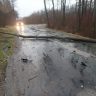 Spadlý strom na Hradecku