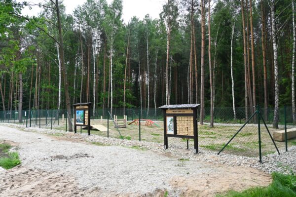 Zóna psí pohody u Azylu pro zvířata v hradeckých městských lesích / Foto: Azyl pro zvířata