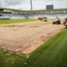 Starý pažit vystřídá hybridní pažit / Foto: FCHK