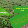 Bludiště s plánem roku 2026 / Foto: Kukuřičáci